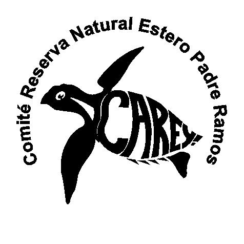 COMITE-CAREY-2