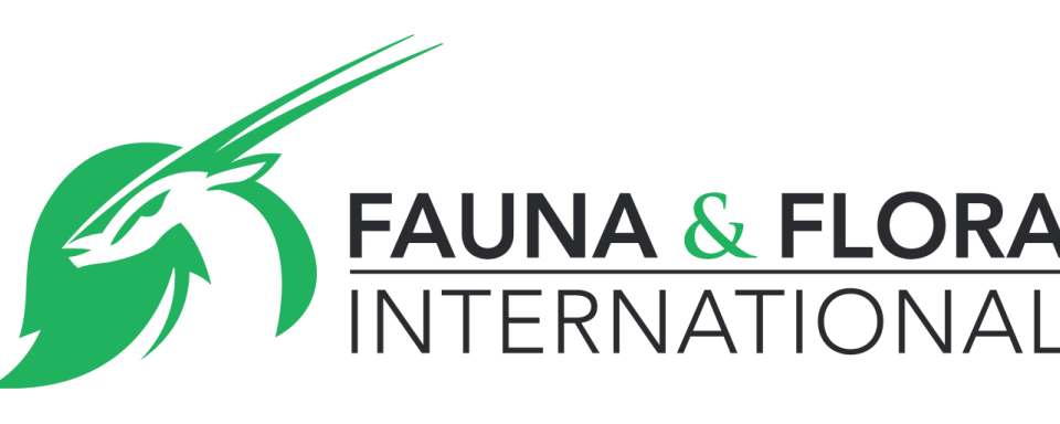 FFI_STANDARD_LOGO_COLOUR-1024x384