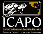 ImagenICAPO